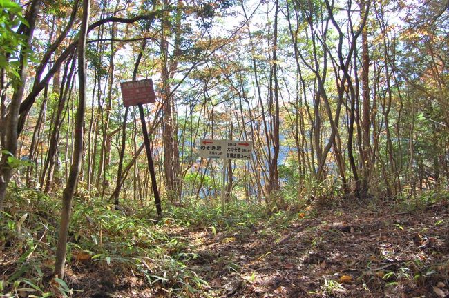 地図から一度は消えた古道を歩く。<br />赤目四十八滝の東方にある青蓮寺ダムに注ぐ青蓮寺川沿いの古道<br />香落渓(ｶｵﾁﾀﾞﾆ)の屏風岩の頂上を歩く曽爾(ｿﾆ)古道がそれです<br />奈良県の曽爾地方と三重県の名張の町を結ぶ山道で明治時代の地図にも明記されている道だが、現在はあまり知られてなく入山が少ない、落ち葉で出来た腐葉土が絨毯みたいになっており、森林浴と合わせ１人静かに山歩きが出来ました。<br />香落谷の紅葉を上から望め素晴らしい秋の一日でもあった。<br />また、現代人の平和を願う石碑もあり感慨深い道でもある。<br />古道は地元の人達が立派な案内板を設置しており迷うことはない。<br />但し、地図が不十分なので自作しました。<br />（地図は未完成で参考程度に搭載）<br />ルート<br />三重県名張市　最寄り駅＝近鉄大阪線名張駅<br />青蓮寺公民館→（青蓮寺林道支線）→Ｂ２９墜落地→空池<br />→（曽爾古道）→行動の滝→のぞき岩→大のぞき岩→今井林道<br />→青蓮寺林道支線（空池経由で青蓮寺公民館）