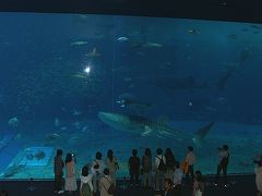 テーマのない沖縄旅行　その３