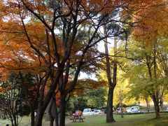 ２０１２・晩秋・岐阜県各務原市・冬ソナストリートの紅葉