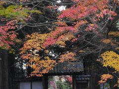 京都　亀岡紅葉巡り　神蔵寺・龍潭寺　2012