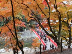 １０年ぶりの見頃になった！「香嵐渓の紅葉」