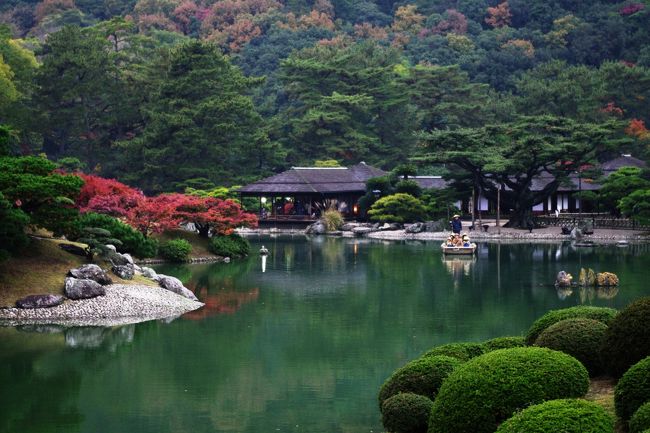 香川県高松市にある栗林公園は、特に重要な文化財庭園として国の特別名勝に指定され、また日本に関する旅行ガイド「ミシュラン・グリーンガイド・ジャポン」では「わざわざ旅行する価値がある」を意味する三つ星に格付けされるなど、日本を代表する大名庭園として国内外から高い評価を得ており、その美しい姿が引き継がれ、守られています。<br /><br />廻遊式大名庭園の変化に富んだ庭景は、広大な自然環境の中で、紫雲山を借景として、六つの池泉、十三の築山、芝生、島、茶室、梅林、竹林、滝、桜林のほか多くの名木、名石のどれもが”一歩一景”の展開を紡ぐのです。<br /><br />今年は例年より紅葉の時季が早いようで、京都の紅葉狩りに続いて栗林公園の紅葉と松の緑を堪能してきました。<br /><br /><br />http://ritsuringarden.jp/