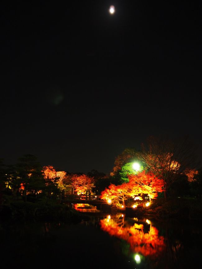 熱田区の一号線沿いにある白鳥庭園のライトアップに行ってきました。<br />公園無料開園日