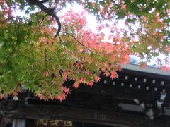 晩秋の鎌倉散歩：でも紅葉はまだ色づき始め