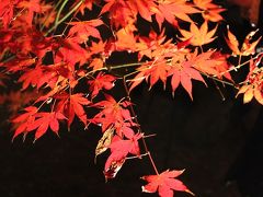 埼玉編『長瀞  紅葉まつり』