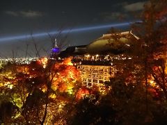 清水寺　夜の特別拝観。妻と息子を道連れに・・・。