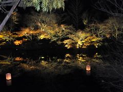 たまゆらの夕べ「夜間ライトアップ」 in 御船山楽園