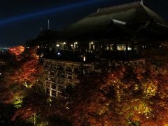 夜の特別拝観～清水寺2012