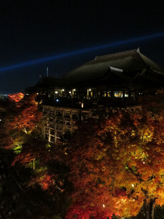 京都の紅葉シーズンはどこも大勢の観光客で混み合っていますが、清水寺は一番の人出ですね。<br />この時期の夜、清水寺はライトアップできれいに彩られ、多くの参拝客を魅了します。<br />紅葉の色合いときらびやかな京都の街並みに酔いしれた一夜でした。<br /><br />動画は↓<br />　http://www.youtube.com/watch?v=T2apkEKHG70