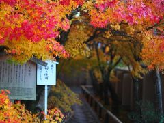 京都　紅葉めぐり～光悦寺、源光庵、常照寺の紅葉