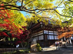 2012・11・25　深大寺紅葉巡り