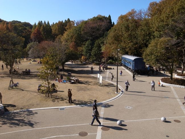 多摩川下流域で生まれ育ち、中流域で遊びまくったのでとても親しみのある川です。<br />今年の紅葉は多摩川の上流域から下流域に向かって攻めてみました。<br /><br />今回は下流域、川崎市の生田緑地です。<br />新宿からすぐなのに自然の多さに感動します。<br /><br />小さい頃から遊びまわった自然公園は基本的に何も変わっていません。<br />