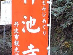 近場の紅葉は見納め！