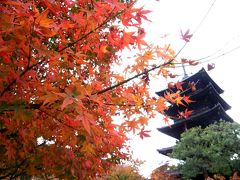 2012.11.17 京都で紅葉狩り【東寺＆東福寺】