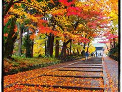 古都京都の四季をゆく・秋編【１】～秋雨に濡れる門跡寺院・毘沙門堂へ～