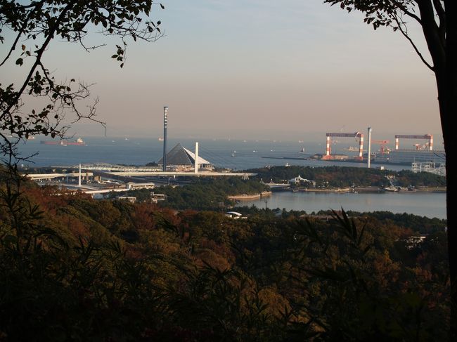 　横浜市金沢区にある称名寺を囲む裏山は金沢三山（金沢山・稲荷山・日向山）の金沢山を中心として10.2haの広さがある「称名寺市民の森」となっている。<br />　百観音の標石がある階段を登ると中腹に百番観音が並んでいる。さらに石段を上った上には石仏が安置されている。少し下りになり、さらに長い階段が続く。そこを上った山頂には鉄筋コンクリート製の八角堂が建っており、がっかりした。それよりも、ここからは通行止めでどこにも行けない。しかなく、来た道を戻った。<br />　阿字ヶ池を過ぎると、伽藍跡が広い草原になっている。左の金堂裏手にも伽藍跡の広い草原が見える。この谷奥へ入ると中腹に北条實時公御廟があった。本来ならば、八角堂からここに来られたはずだ。<br />　帰りは御廟の右にある山道を通った。尾根筋をぐるっと回って最初の草原横に出た。夕暮れが迫る中、仁王門の横から参道を通って金沢文庫駅に向かった。<br />（表紙写真は称名寺市民の森から見る八景島）