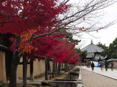 アイラブ仏像めぐり　法隆寺東院伽藍　夢殿から中宮寺へ