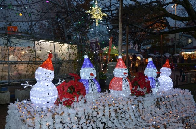 箱根に行ったついでに以前から気になっていた御殿場にある時之栖イルミネーションを見てきました。