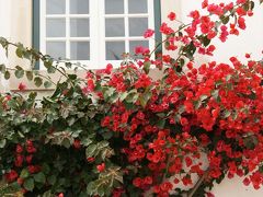 ポルトガルとハンブルクの旅4 ポルトガル3日目