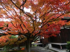 2012年紅葉だより◆『勧修寺』は超穴場紅葉スポットです！（京都市山科区）