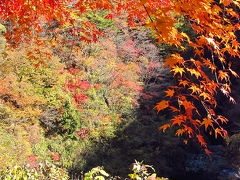 絶景の紅葉を愛でる～奥多摩むかしみち～