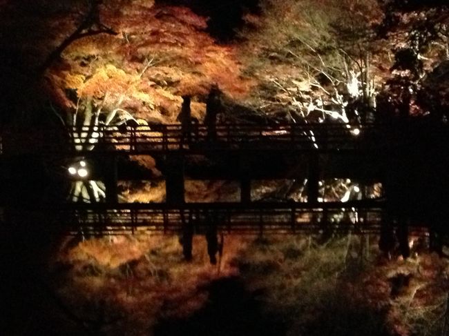 瀬戸の岩屋堂公園、近いじゃん。<br />とおもいつきで<br />ライトアップがキレイそうだったので平日夜に行ってきた。<br />想像以上に素晴らしいライトアップだった。<br />