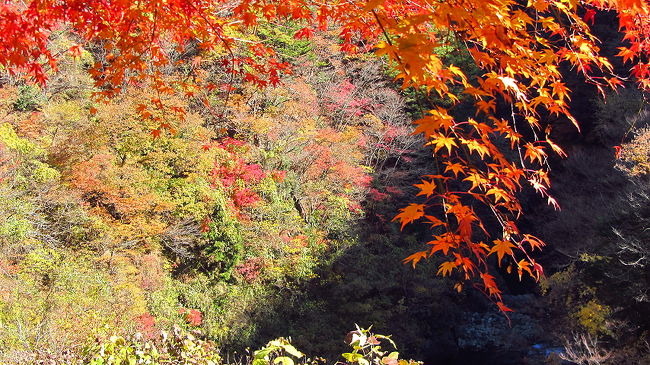 絶景の紅葉を愛でる～奥多摩むかしみち～