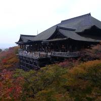 子連れ三世代旅行で雨の紅葉京都の過ごし方