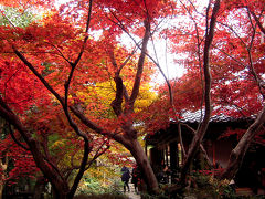 京都紅葉めぐり/スイーツめぐり♪京都嵐山の穴場「厭離庵」～南丹の紅葉「高山寺」「龍穏寺」、そして福知山で水野直己スイーツを♪♪