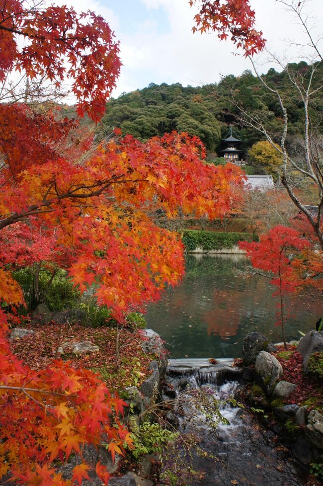 <br />蹴上駅（地下鉄）から徒歩１５分で永観堂禅林寺に到着！！<br /><br />拝観料は１０００円でした。<br /><br />多宝塔からの景色は京都市内がみえて紅葉がきれいでした♪<br /><br />極楽橋から見る放生池の景色もきれいでした♪<br /><br />紅葉とイチョウのコラボもありきれいでした♪<br /><br />永観堂禅林寺はライトアップもあるので、また行きたいと思いました。<br /><br />蹴上駅（地下鉄）徒歩１５分　→　永観堂禅林寺　→　哲学の道　→　銀閣寺のルートを歩く。　