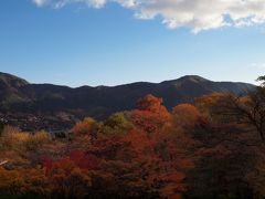 箱根の紅葉　箱根で１万円以下の宿　箱根つつじ荘　２０１２年１１月