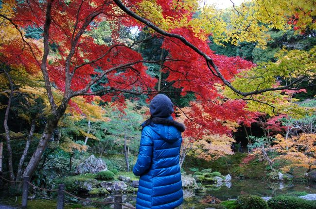 今年は南禅寺で紅葉鑑賞したい!!!!と言う事で、行ってきました。<br />ε=┌(；・∀・)┘ｲｯﾃﾐﾖ!!<br /><br />でも待てよ・・・この時期の京都は大大大渋滞、去年はバスで出かけたけど、ニイニイはやっぱり車で行きたいって言うし。<br />ヨッシャ！任せときっ！と、無い知恵絞って考えたっていうか、ネットでサーチした。それで見つけたのが“パーク＆ライド”です。<br />駅までマイカーで行き、駅からは電車で目的地まで。これで渋滞解決だ〜〜♪<br /><br />名古屋から名神高速道路を使い大津インターで降り、そこから車で大津市浜大津公共駐車場(１０分弱)までいきます。<br />ここを利用し、指定の1日乗車券(１dayチケット)を購入すれば、通常３０分１５０円かかる駐車代が１日５００円でとめられます。<br />時間を気にせず目的地までの移動時間が読めるって、便利でストレスもありません。<br />混む時期の京都へはパーク＆ライドで決まりですネ。(´▽｀)<br />