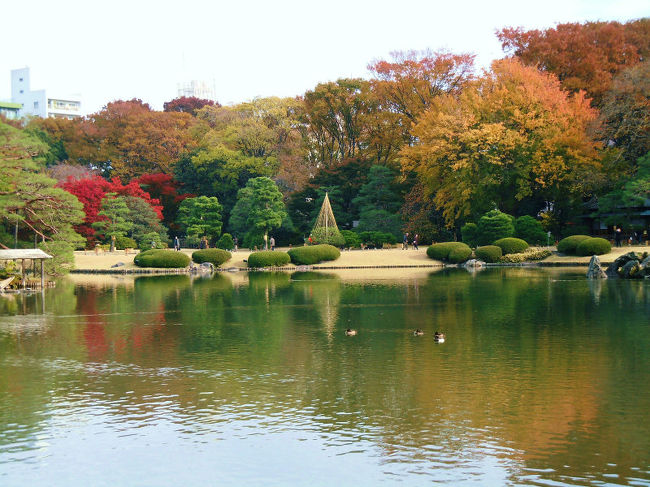 お友達と六義園へ行って来ました。