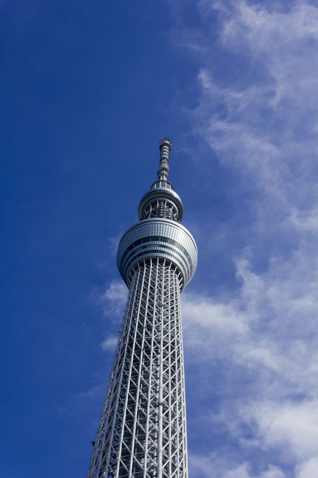 久々の旅行記です。<br /><br />愛加も3ヶ月になり、ずーっと家にばかりいるのも退屈なゆっちのために、たまには遠出してみようか！？となりました。<br /><br />色々候補があったのですが、千葉にいる弟に愛加をまだ見せていなかったこともあり、じゃあ、東京に行くか！となり・・・<br /><br />東京に行くのはいいけど、どうせならスカイツリーに登ってみたいよね？という、まだ3ヶ月の子供には早すぎる気もしないではないのですが、そんな言葉が。<br /><br />でも、東京スカイツリーって、ベビーカーで行けるの？そんなに高いところに3ヶ月の子を連れて行って、耳痛くなったりしないのかなあ？<br /><br />いつも混んでる気がするけど、普通に登れるのかなあ？<br /><br />いろんな疑問があったのですが、いざ行ってみると、そんな心配することなかったじゃん、と、子連れに優しいしっかり整った施設でした。<br /><br />しかも朝一だからか、全然混んでいないというミラクルも。<br /><br />一番心配した愛加も、全然泣かずに、余裕すら伺える頼もしさ。<br /><br />折角の高速エレベーターなんか、ずーっと寝てるし・・・<br /><br />これなら来年予定している海外も大丈夫かな。