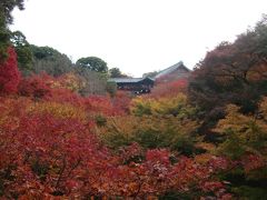 東福寺 臥雲橋・通天橋　その１