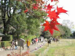 紅葉カンタービレ　2012　嵐山編