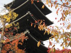 名古屋興正寺の紅葉