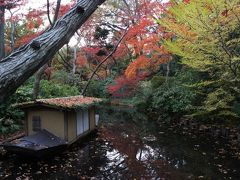 susanaのバタバタ休日　港区の紅葉2012を見に行こう！アートも旅会も