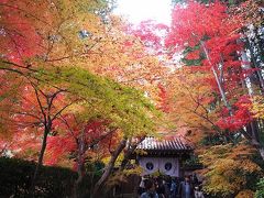 紅葉の京都☆光明寺☆ 