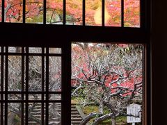 鎌倉の紅葉2012　思い立ったら円覚寺　　　【 北鎌倉/ 円覚寺　engakuji 】