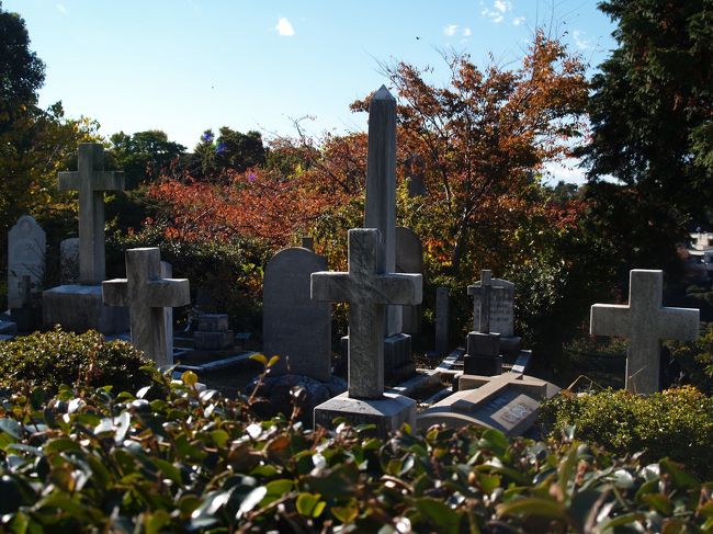 　横浜山手にある山手外国人墓地は外国人居留地にある墓地で、外国人墓地資料館も建てられている。<br />　横浜外国人墓地資料館は平成6年（1994年）に建てられた。入館料：無料で、開館時間：午前10時00分〜午後5時00分、資料館休館日：月曜日である。 なお墓地内は通常非公開であるが、3月から12月まで毎週土・日・祭日（雨天を除く）の午後12時00分〜午後4時00分に外国人墓地募金公開を行っており、外国人墓地の維持管理のための募金（200〜300円程度）に協力し，その礼として入苑できる。<br />　また、外国人墓地は西側の法面（のりめん）に展開している。天気が良い日には墓前からはちょうど富士山が見える場所でもある。富士山の眺望が広がる場所に敢えて立地しているのかも知れない。<br />　外国人墓地にはおよそ4900基の墓があるが、フランス人系の墓は1,000基に満たず、少数派であるという。イギリス人系の墓が多く、戦後になるとアメリカ人系の墓が多くなるのだという。正に、歴史が現れていようか。<br />　横浜が開港（安政6年（1859年））し、外国人居留地ができる。幕末には幕府を支援していたのはフランス人であった。しかし、生麦事件に端を発する薩英戦争の後には薩摩藩はイギリスとの友好関係を深めていくこととなった。また、長英戦争（下関事件（文久3年（1863年））と下関戦争（元治元年（1864年）））の後、イギリスは長州を支援するようになる。幕末のこうした経緯から、薩長中心の明治政府が成立するとイギリスはフランスを凌駕する貿易相手国となって行った。これと同じことは昭和になってもあり、今だ日米同盟が続いている。特に、横浜には沖縄に次ぐ数の進駐軍が駐留した。こうした時代背景があり、山手外国人墓地の墓の数にはそうしたことが反映されているようだ。<br />　私の方は、「中華街の華僑が平成になって日本人妻を迎え、その子供が帰化して日本人になり、母方の苗字になっているのがTVでやっていたが、中国4,000年の歴史とは正に血を混ぜないことで他国にいても華僑として生活してきたが、平成になって、それが破られてきていること」、「弥生時代以来、朝鮮からの多くに渡来者があるが、2,000数百年経った10年余り前から、やっとキムチが日本人にも受け入れられるようになったこと」、「弥生時代以来、神との直会で酒を酌み交わし、何を仕出かしても酒の上での出来事で済ませてきたが、数年前にあった福岡での飲酒運転事故を契機に、飲酒運転が厳罰化され、2,000数百年経ってようやく酒の上での出来事では済まされまくなった」ことなど、長い歴史でも転換点に出くわすことがあることなど、幕末、明治から話が広がってしまった。<br />　なお、横浜市には他に3か所外国人墓地（他に、英連邦戦死者墓地（保土ヶ谷区）と中華義荘（中区大芝台））が存在する。　　　　　　　　　　　　<br />（表紙写真は横浜山手外国人墓地）