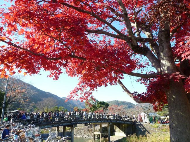 ３連休のとても天気の良かった最終日。<br /><br />すごい人出なのは覚悟の上で、気持ちの良い秋晴れの日にやっぱり紅葉を見に行きたい！<br />車は厳しいだろうし、チャリでのんびりサイクリングしながら、旦那と嵐山まで紅葉を見に行くことに。<br />もちろん！花より団子じゃないけど、美味しいものもちょこちょこ食べることも忘れずに〜♪