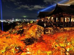 清水寺と高台寺のライトアップ