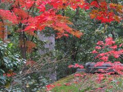 紅葉カンタービレ　2012　北野編