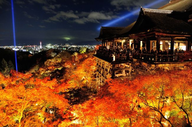 紅葉最盛時の京都に行ってきました。<br />何回かに分けてUPする予定ですが、<br />まずは清水寺と高台寺のライトアップから。