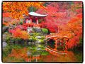 古都京都の四季をゆく・秋編【２】～林泉の水面を紅く染める醍醐寺へ～
