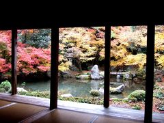 ２０１２年京都の紅葉（その４）御所付近と八瀬の蓮華寺、松ヶ崎大黒天の紅葉