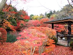 ２０１２年京都の紅葉（その５）締めくくりは京都府立植物園