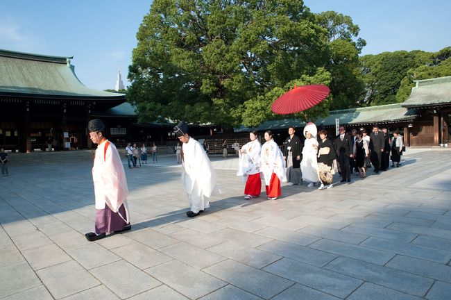 ＊今回の旅行記は、私と家族の、貴重で素晴らしかった体験を<br />　順を追って残したいと思って作ったものです。<br />　なので、私が撮影できなかった場所や、写真が暗すぎたものなどは<br />　他から頂いたものも入っています。<br />　超個人的な自己満足の旅行記なので、興味のある方のみどうぞ♪<br /><br />＊＊＊＊＊＊＊＊＊＊＊＊<br /><br />今回の緊急帰国、この日の為に帰って来ました。<br /><br />前旅行記では、『今年５月、結婚式の日取りがまだ決まらないから<br />帰国したのに、アメリカに戻って来たとたん、４ヶ月後の９月に<br />決まった、と連絡あり』と書きました。<br /><br />実は、これ２度目で、同じようなことが以前にもあったんです！<br /><br />最初の結婚式の日取りは昨年の３月下旬。　その前の年の<br />１０月にも結婚式がないことを確認し、帰国しましたが、<br />私がまだ日本に滞在している途中で<br />「来年の３月下旬に決めた。」と連絡が。　(￣∩￣#<br />けれどしょうがない。　私は夫と共に参加する予定で、<br />参列者の招待も多かったのですが、東日本大震災の為<br />キャンセルになりました。　弟夫婦の落胆と残念な想いは<br />計り知れません。　この日の為に、何ヶ月も準備をし、<br />多忙な中、名古屋と東京を何度も往復していたのですから。<br /><br />膝痛・腰痛・その他モロモロの痛みを抱えている、<br />まるで老体な私（苦笑）には、アトランタ－成田の<br />１４時間はかなりきついフライトです。<br />しかも、最近の飛行機代は年々上がるばかり。<br />そう何度も行ったり来たりできる距離＋値段ではありません。<br /><br />けれど、結果から言うと、「本当に出席してよかった！」<br />普段は経験できない日本の伝統的で貴重な体験を共有させてもらい、<br />大感動と共に弟夫婦には感謝・感謝です！<br /><br />さて、昨日の夕方東京に着いたばかりでの今日の結婚式。<br />１３時間という丸半日違う真逆の時間帯の日本とアトランタ。<br />時差ボケは大丈夫でしょうか？　（笑）