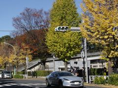 小さな旅　東京の秋　渋谷・代々木公園　2012　Autumn in Tokyo/Shibuya　& Yoyogi